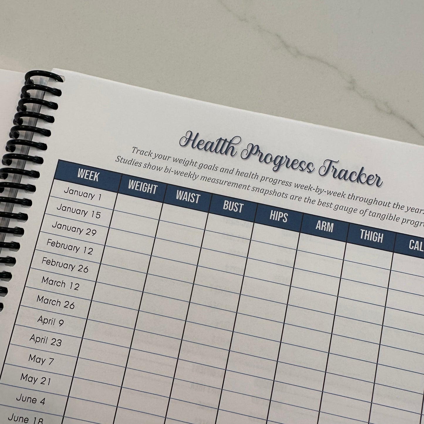 2026 Orthodox Life Weekly MINI Planner - Paros Paths