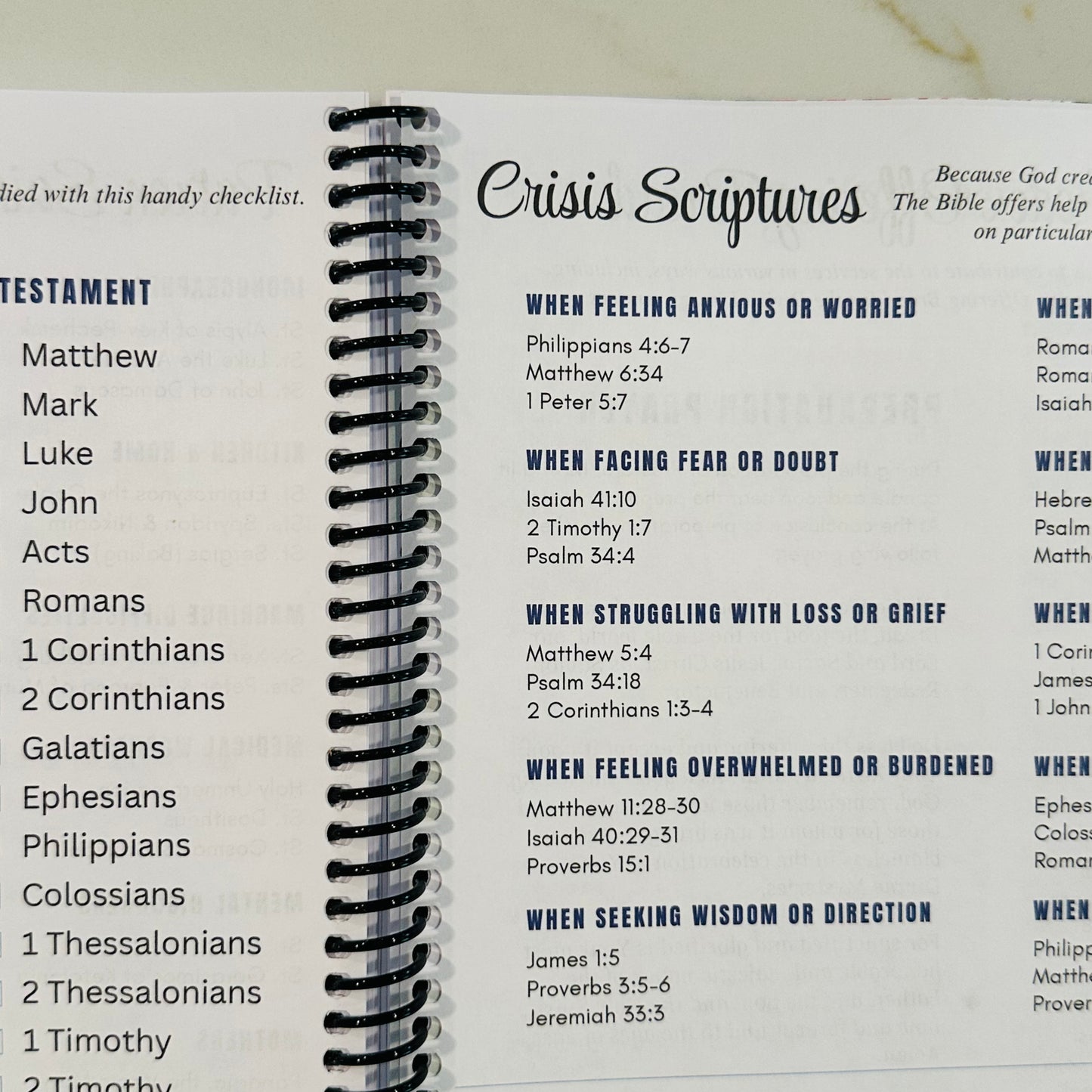2026 Orthodox Life Monthly Planner - Greek Doors
